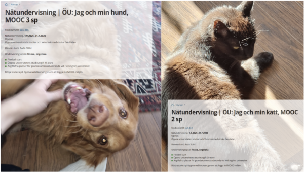 Collage med en bild på en hund, en bild på en katt, en skärmdump av kursen "Jag och min hund" på Helsingfors universitets kursutbudssida och en respektive skärmdump av kursen "Jag och min katt".