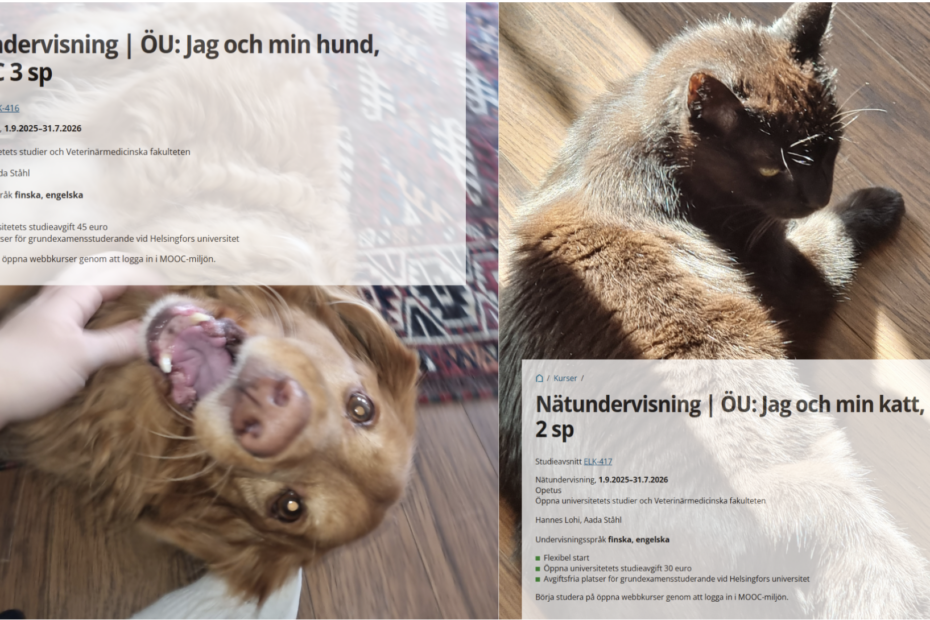 Collage med en bild på en hund, en bild på en katt, en skärmdump av kursen "Jag och min hund" på Helsingfors universitets kursutbudssida och en respektive skärmdump av kursen "Jag och min katt".